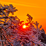 美图|游人如织 南岳雾凇仙境美如画