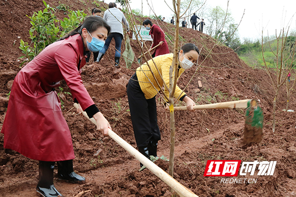 3月18日,衡阳市雁峰区主要负责人在岳屏镇山林村开展义务植树活动