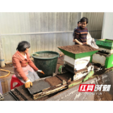 常宁34.3万亩早稻开启工厂化育秧模式