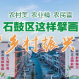 图解|农村美 农业精 农民富 石鼓区这样擘画“乡村振兴”