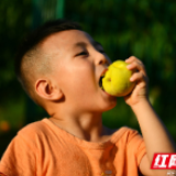 常宁：贫困户蜕变为致富带头人