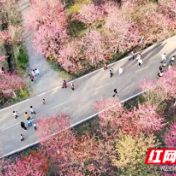 春节假期，常宁实现旅游收入3.15亿元