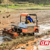 【图】衡阳市雁峰区：春耕备耕早 农业生产忙