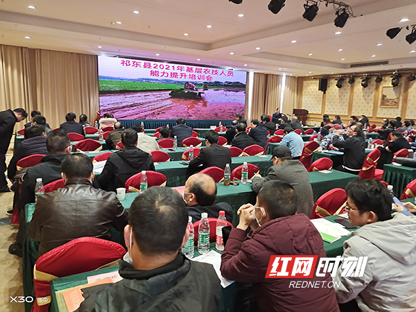 祁东县200余名农技人员进课堂 助推乡村振兴