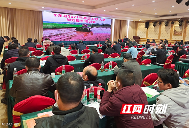 祁东县200余名农技人员进课堂 助推乡村振兴