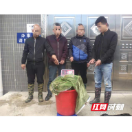 衡阳县公安局长江禁渔专项行动取得实效