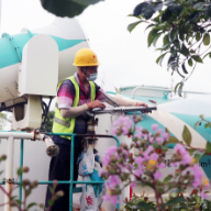 “红”“绿”“蓝”扮靓麇城“风景线”