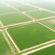 衡阳县：高标准农田建设跑出乡村发展“加速度”