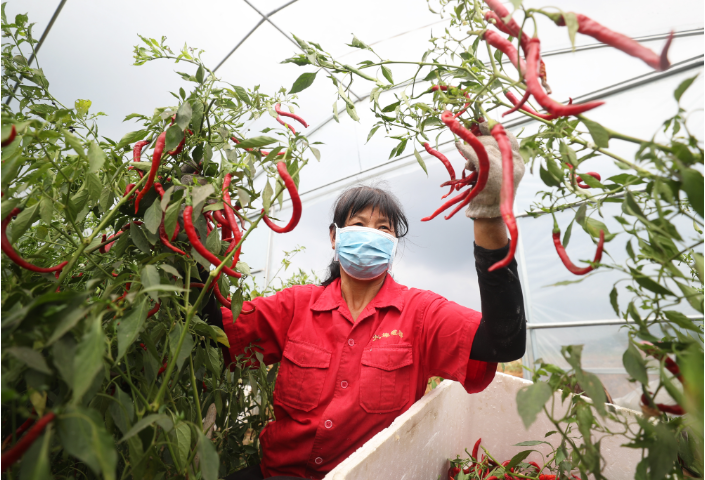 衡阳县52吨抗疫生活物资驰援张家界