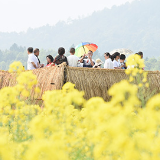 衡阳县油菜花节开幕了，快来这里邂逅“醉美”花海