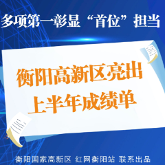 图解|多项第一“彰显”首位担当 衡阳国家高新区亮出上半年成绩单