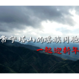 视频|湖南常宁：高山年味浓 瑶族同胞特色活动迎新年