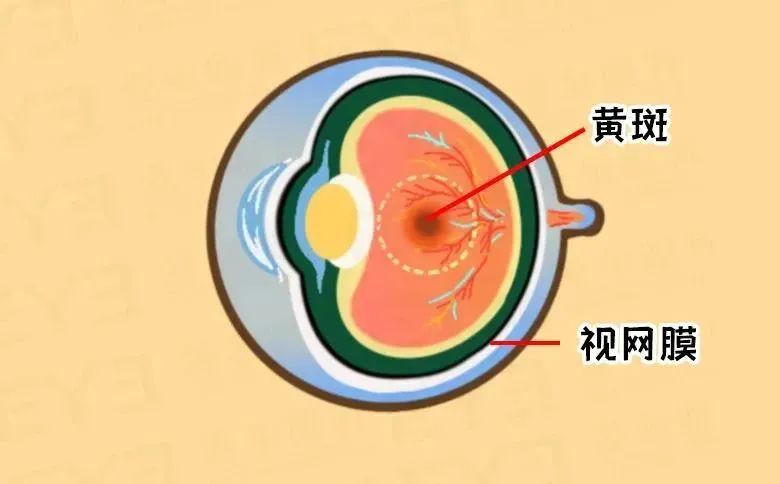 图片3.jpg