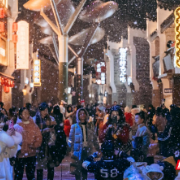 组图|衡阳市珠晖区:盛装“雪世界”苏州湾老街上演冬日浪漫
