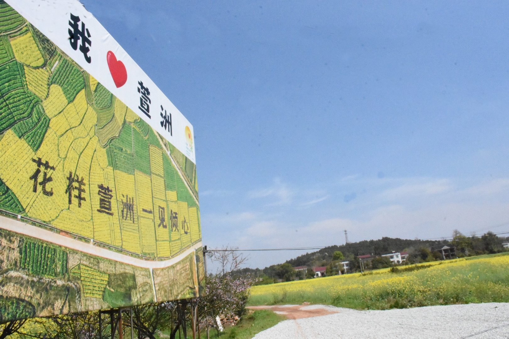 花海里的艺术盛宴！衡山萱洲首届大地艺术季启动