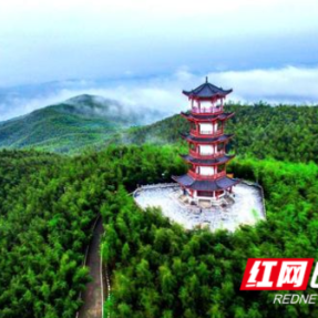五一不忙，去趟衡阳｜耒阳市：畅游万亩竹海 体验古法造纸魅力