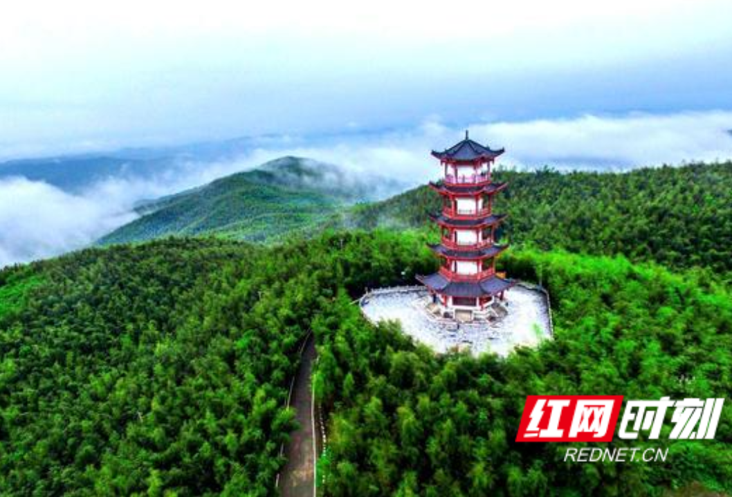 五一不忙，去趟衡阳｜耒阳市：畅游万亩竹海 体验古法造纸魅力