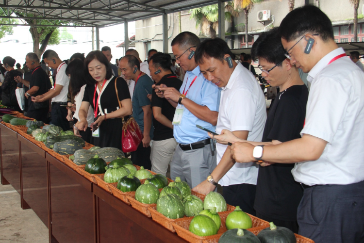 全国蔬菜行业盛事！衡阳蔬菜产业高质量发展交流研讨会在衡阳举办