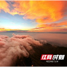 “朱鸟展翅垂云天” 昨晨南岳惊现独如飞美景