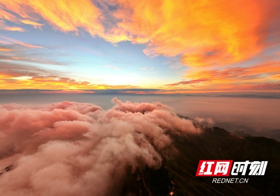 “朱鸟展翅垂云天” 昨晨南岳惊现独如飞美景