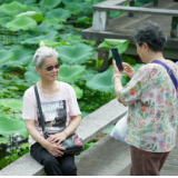 组图丨衡阳：夏日荷花初绽放 满目美景入画来