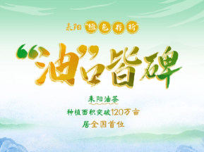 海报 | 草木生金处 耒阳正青春