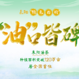 海报 | 草木生金处 耒阳正青春