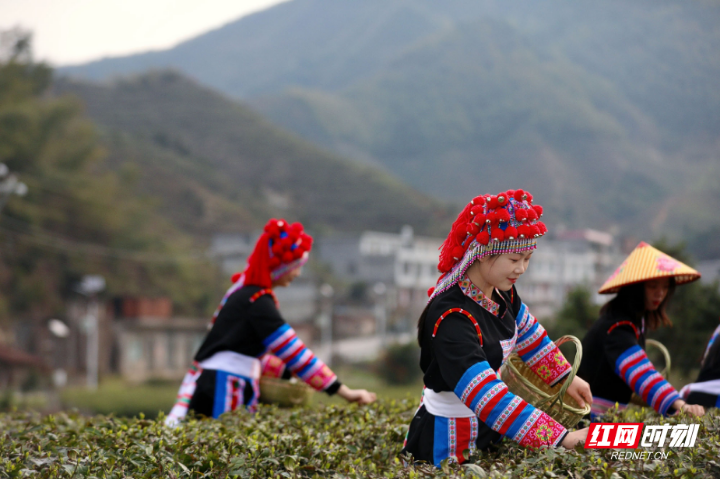 常宁瑶寨·千年山魂  