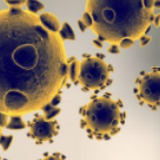 韩国新冠肺炎确诊病例新增64例,累计8961例