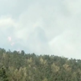 31省份一季度消费力揭晓：14地降幅超20%