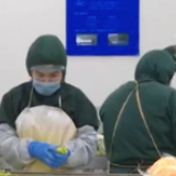 农业农村部:启动全国农产品仓储保鲜冷链设施建设 促进“双升级”