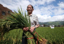 袁隆平：丰收不是浪费的理由，必须时刻绷紧粮食安全这根弦