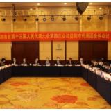 快讯 | 许达哲参加益阳代表团审议