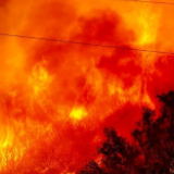 “阿利萨尔”山火在美国加州快速蔓延
