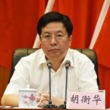 人事观察丨胡衡华任重庆市代市长 系湖南衡南人