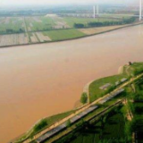 黄河大堤内丢弃死猪事件追踪：当地已确定嫌疑人2名