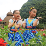 湖南张家界：夏日花海引客来