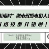 投票啦！“光影湘村”湖南省微电影大赛网络投票正式开启！