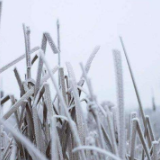 湖南启动低温雨雪冰冻灾害Ⅲ级应急响应