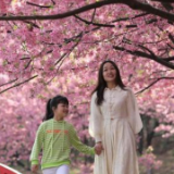 湖南常宁：樱花烂漫