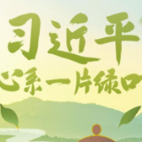 手绘长图丨习近平心系一片绿叶