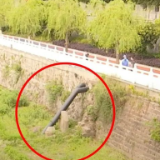 女孩落水坠入暗流，无人敢出手，“头盔侠”出现了！