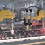 上海全力加快经济恢复和重振