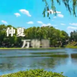 时政微纪录丨金砖时刻