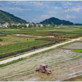 总书记挂念的“关键小事”丨制止餐饮浪费行为