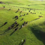 阿克苏好地方•旅游篇——《新疆天山托木尔景区欢迎您》