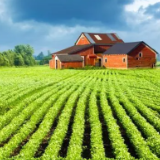 湖南：已有家庭农场18.89万个，农业社会化服务覆盖全省三分之一的农户丨乡村振兴专场新闻发布会⑦