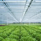 湖南：国家级现代农业产业园达到8个，国家级产业强镇达到61个丨乡村振兴专场新闻发布会③