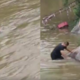  男子三年3次跃入水库救溺水儿童：遇到了就必须去救