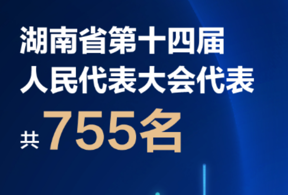 图解丨湖南省十四届人大代表构成都在这组数据里